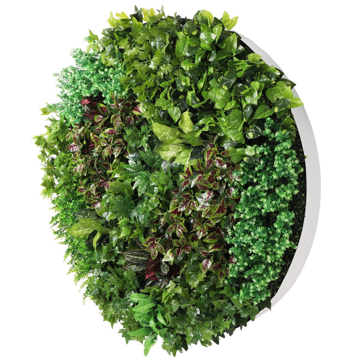 1013972w_9 Artificial Green Wall Disc Art 150cm Dense Green Sensation (Fresh White) - Image 1