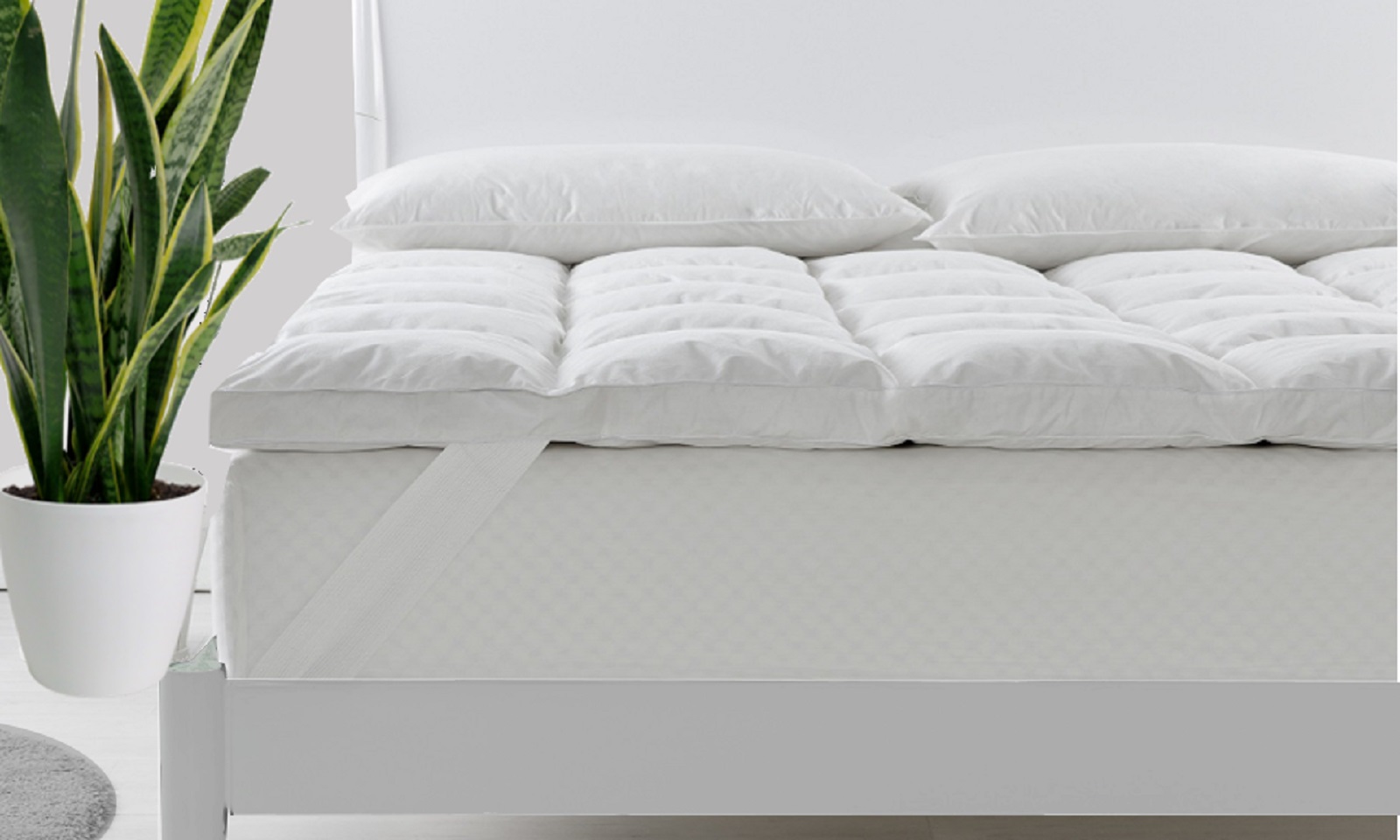 V160-204735_204735_1_1 Royal Comfort Duck Feather and Down Mattress Topper 1800GSM Pillowtop Underlay - Single - White - Image 1