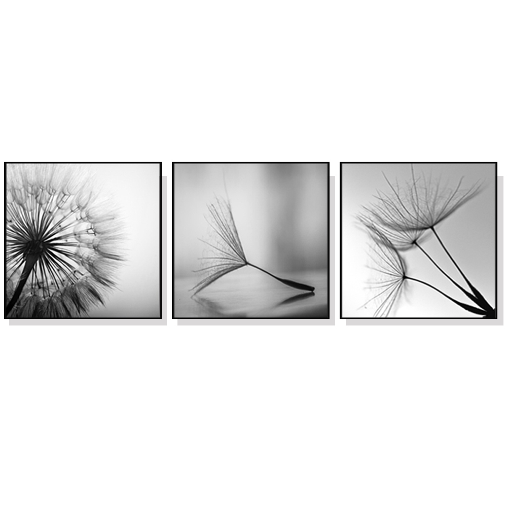 V207-1105_Botanical-dandelions-black-white-3-sets-black-_1 Wall Art 70cmx70cm Botanical dandelions 3 Sets Black Frame Canvas - Image 1