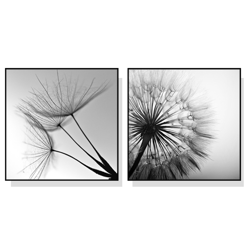 V207-1451-66056-00 Wall Art 50cmx50cm Black and white dandelion 2 Sets Black Frame Canvas - Image 1