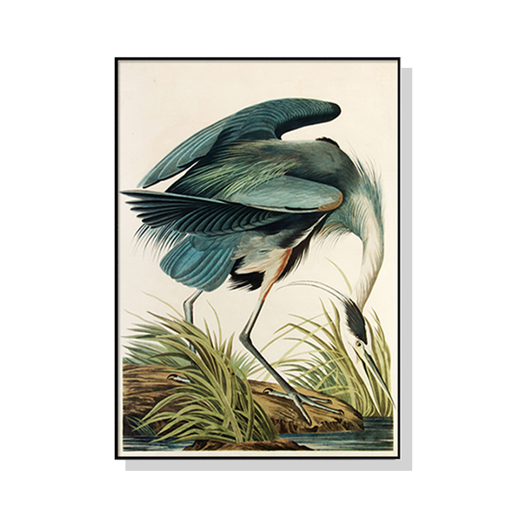 V207-1592-66963-00 Wall Art 80cmx120cm Great Blue Heron By John James Audubon Black Frame Canvas - Image 1
