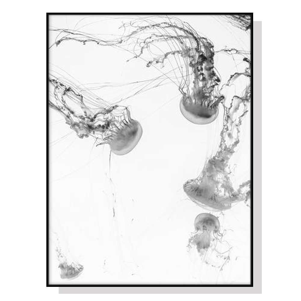 V207-16841-130921-00 Wall Art 40cmx60cm Jellyfish Black Frame Canvas - Image 1