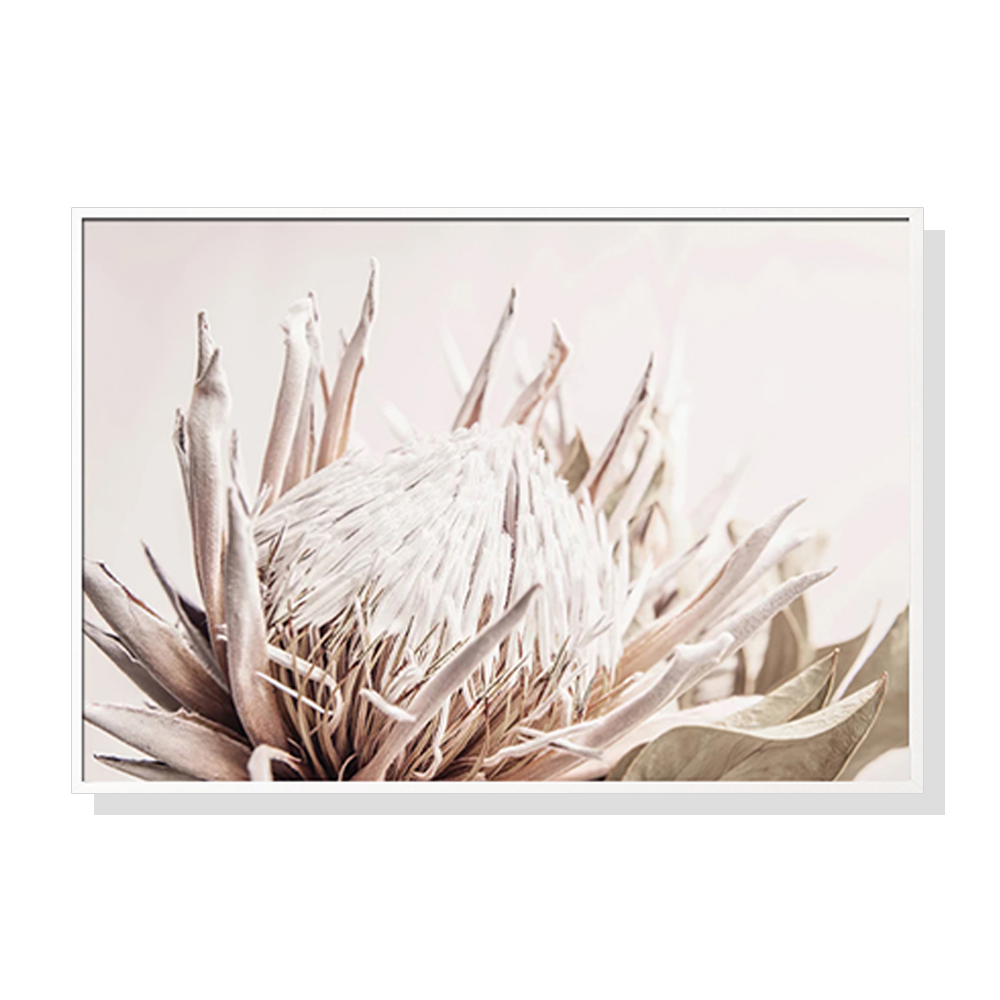 V207-1697-75058-00 Wall Art 60cmx90cm Pure Protea II White Frame Canvas - Image 1