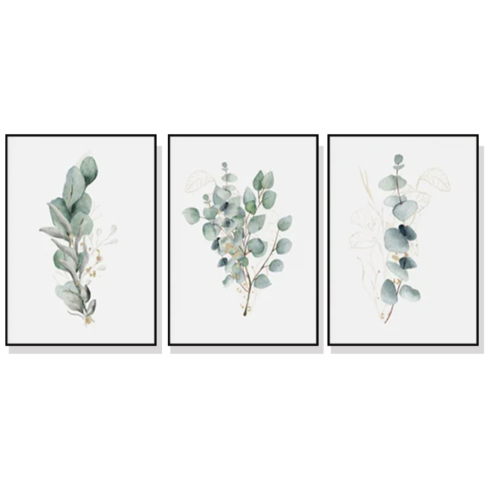 V207-1731-77370-00 Wall Art 50cmx70cm Eucalyptus Plant 3 Sets Black Frame Canvas - Image 1