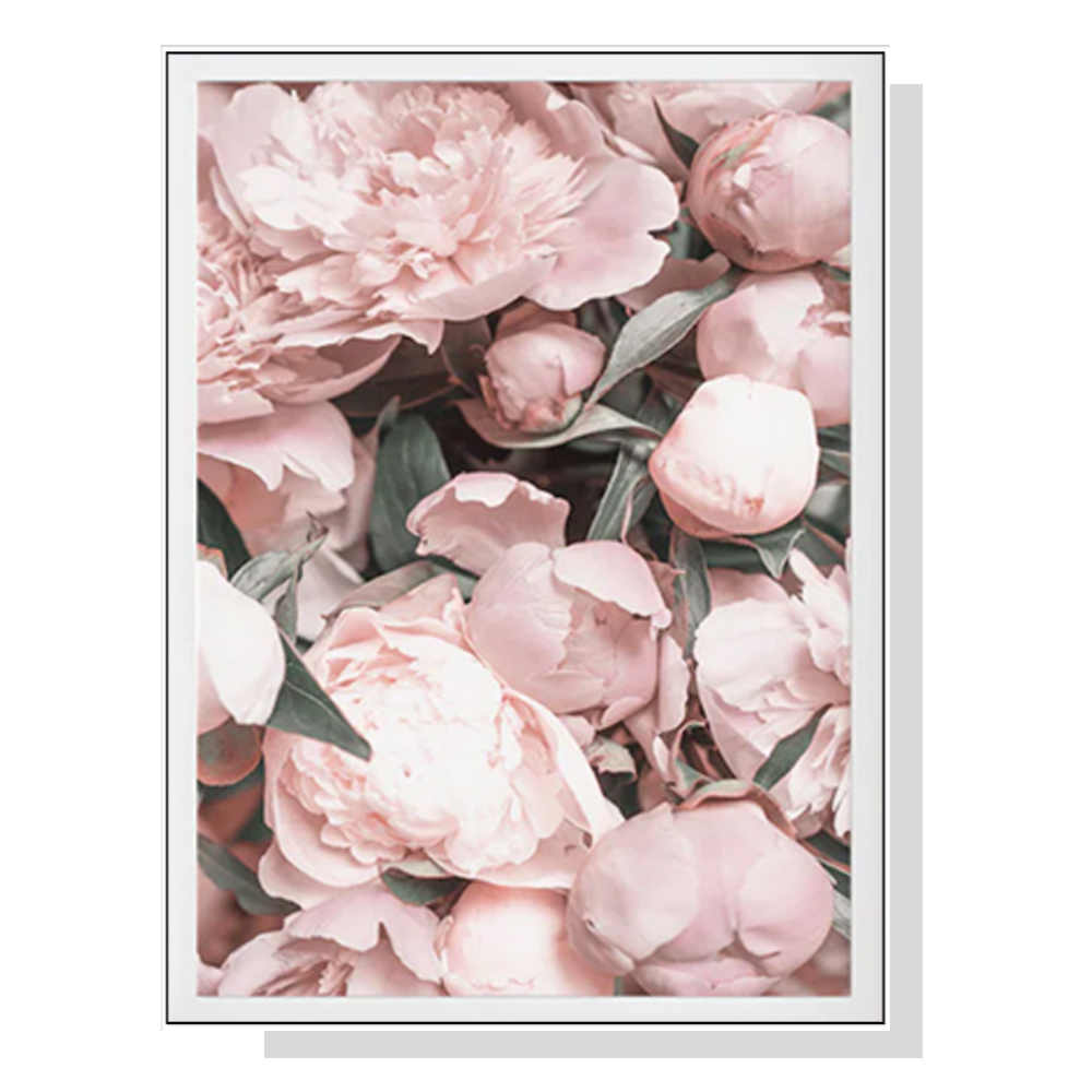 V207-19741-97726-00 Wall Art 40cmx60cm Peony White Frame Canvas - Image 1