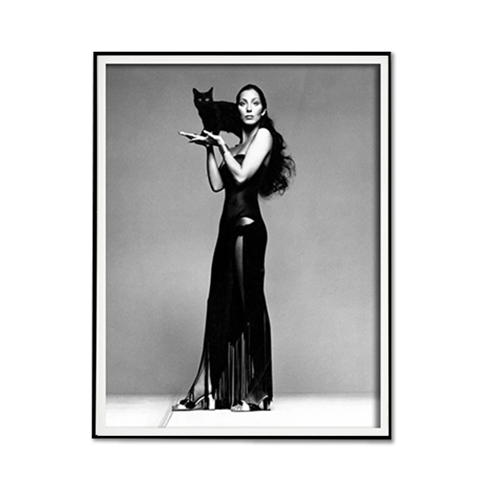 V207-2253-002-183913-00 Wall Art 40cmx60cm Cher Music Black and White, Black Frame Canvas - Image 1