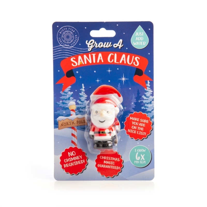 V210-2671133-SDC_2671133_2022-01-3-13-41-19-00 Grow Santa - Image 1