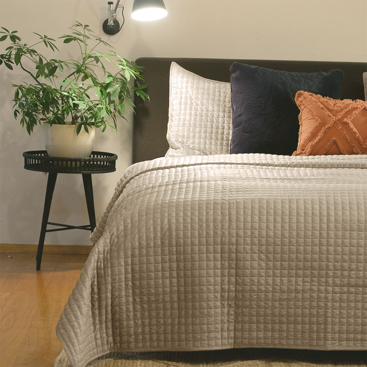 V442-IDC-COVERLET-ADELA-SANDSTONE-QS-78679-00 J.Elliot Home Adela Sandstone Velvet Quilted Coverlet Set Queen/King - Image 1