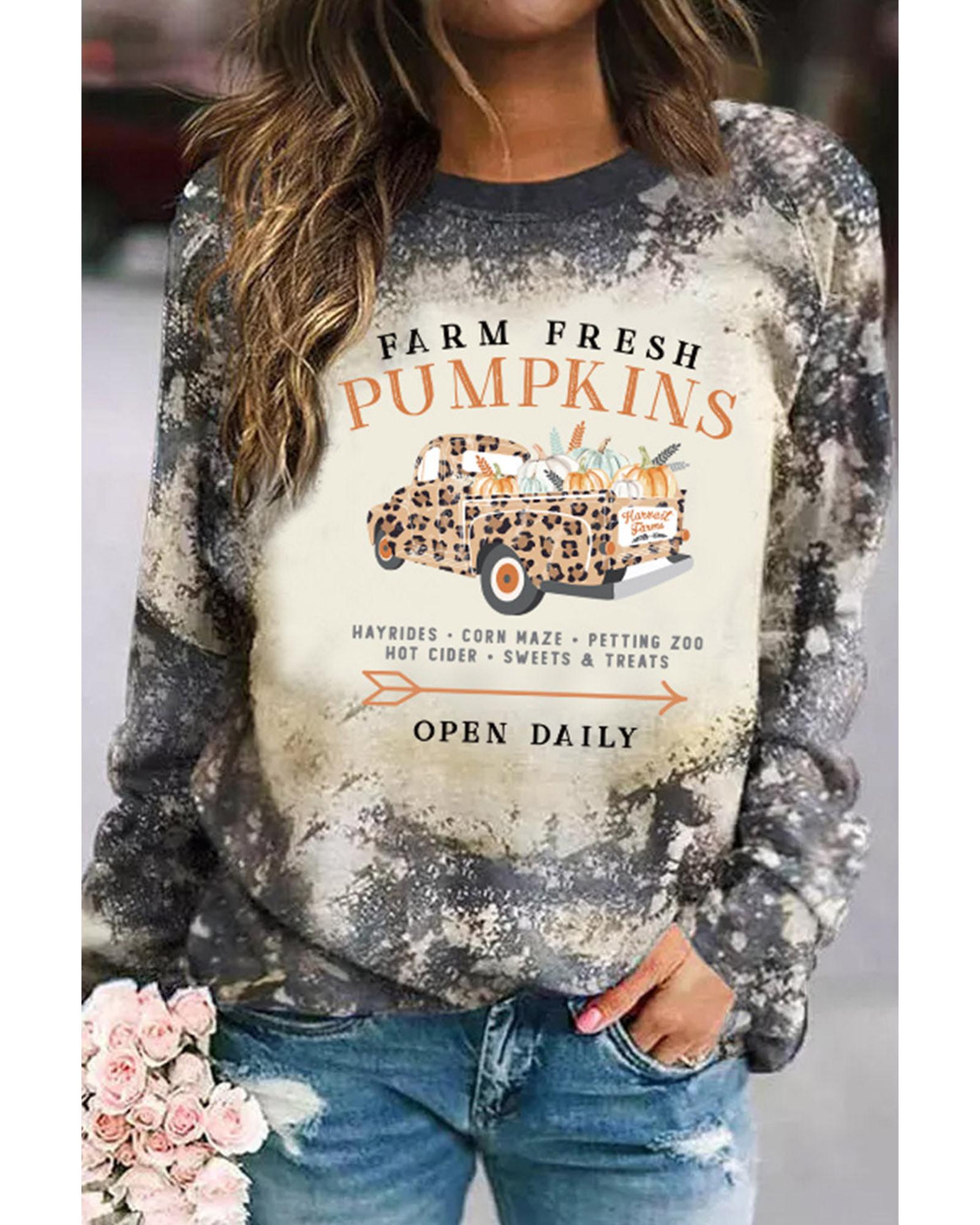 V539-AZEXDC25123784-22-M-202509010205-00 Azura Exchange Graphic Bleached Top with Farm Fresh Pumpkins - M - Image 1