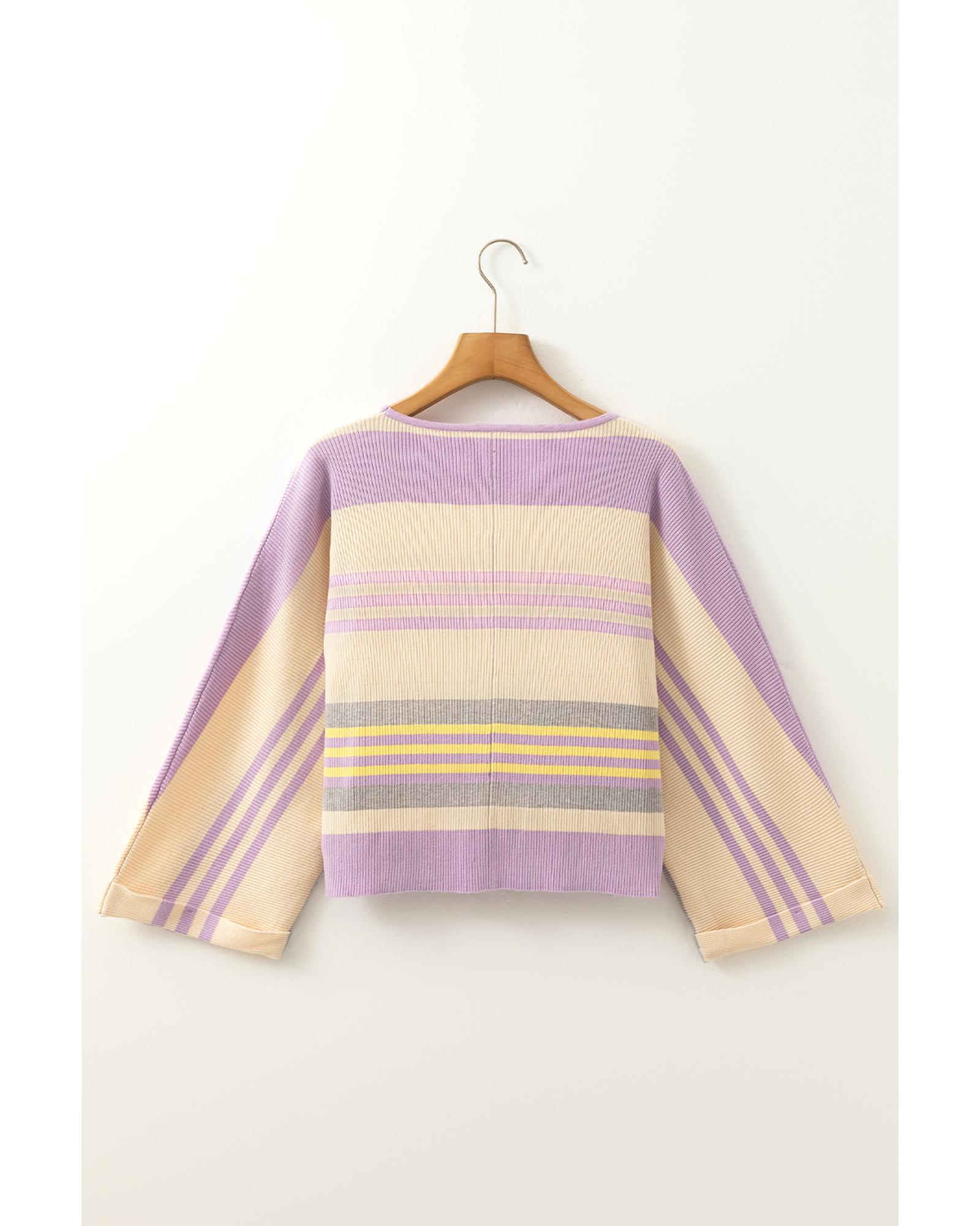 V539-AZEXDC277533-P819-L-202508300205-00 Purple Stripe Borderline Rib Knit Cuffed Dolman Sleeve Sweater - L - Image 1
