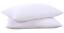 V541-A-SG-PD-DP15021-K-161092-00 Puredown Goose Down and Feather Pillow Inserts for Sleeping, 100% Cotton Fabric Cover Bed Pillows, Set of 2, White, King Size - Image 1