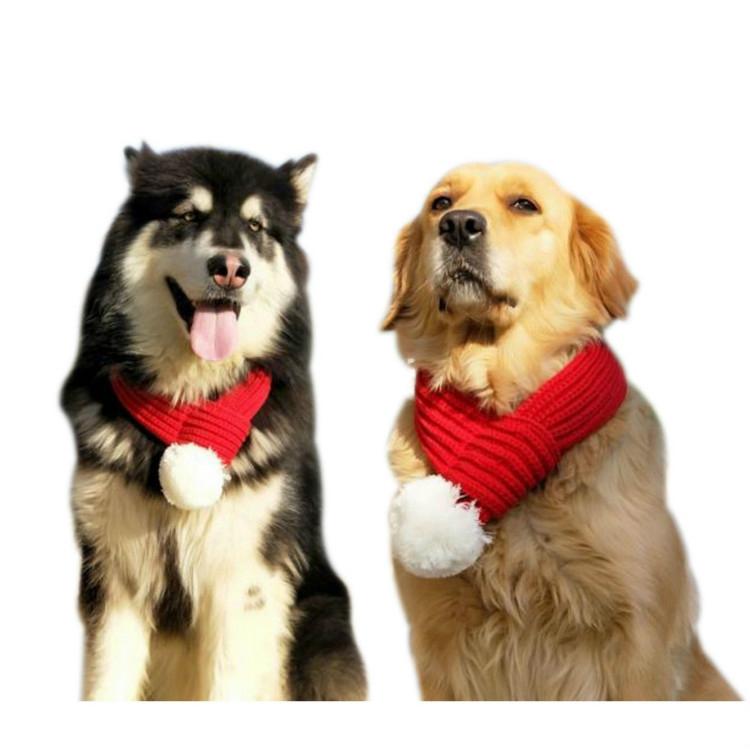 V562-1016621640DBT-202503201711-00 Pet Christmas Wool Scarf - Size Xxs - Image 1