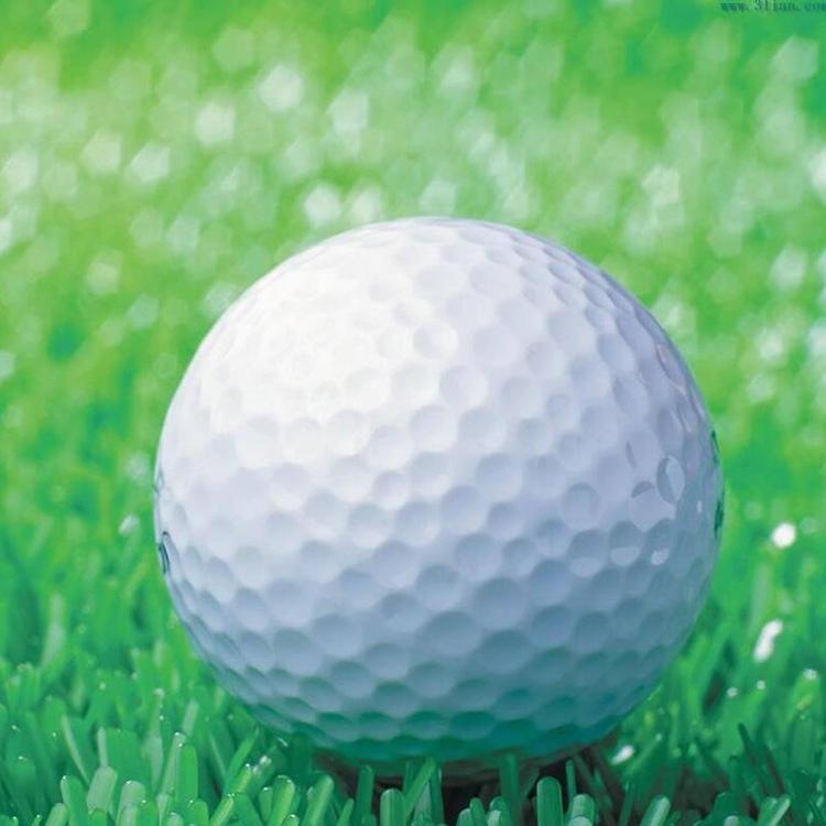 V562-3283GO-202503061835-00 Double Layer Elastic Golf Balls for Driving Range - Synthetic Rubber - Image 1