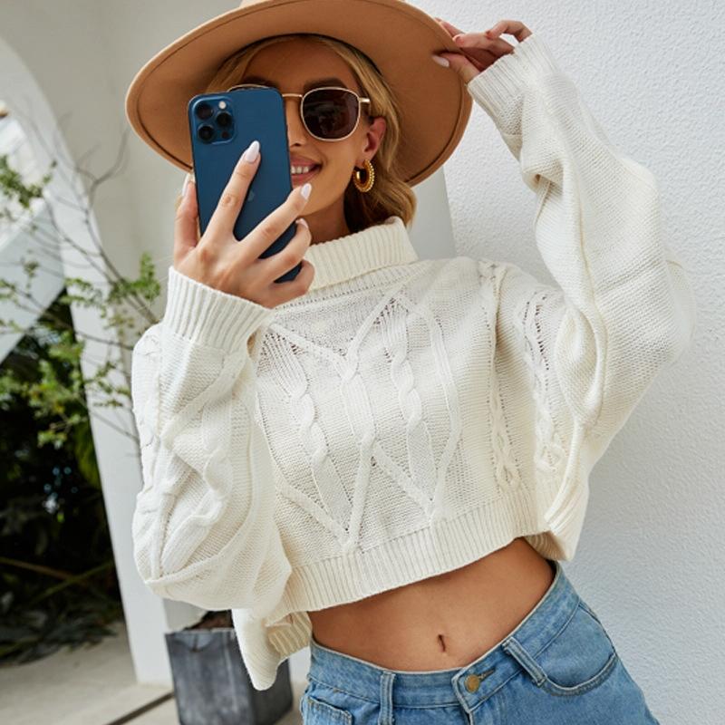 V562-A1003123060DBT-202505261953-00 Solid Colour High Neck Pullover Knitted Top Short Stranded Flowers Knitted Sweater - White - S - Image 1