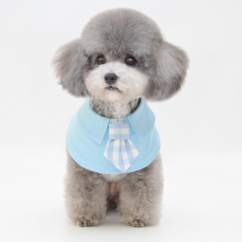 V562-D2086396230DBT-202503201710-00 Pet Shawl Scarf Saliva Towel Dog Clothes Accessories - Size M - Blue - Image 1