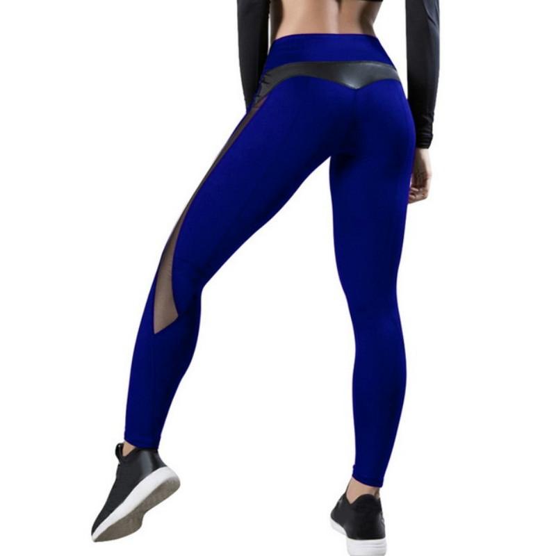 V562-E1044058040DBT-202503262005-00 Seamless Mesh Leggings For Women - Push Up Fitness Pants For Gym And Running - Size L - Royal Blue - Image 1