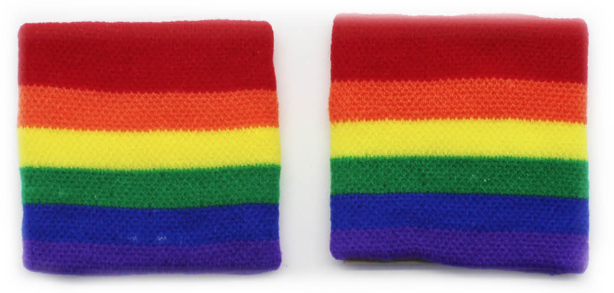 V563-14898-184358-00 2x RAINBOW WRISTBANDS Gay Lesbian Pride LGBT Mardi Gras Party - Image 1