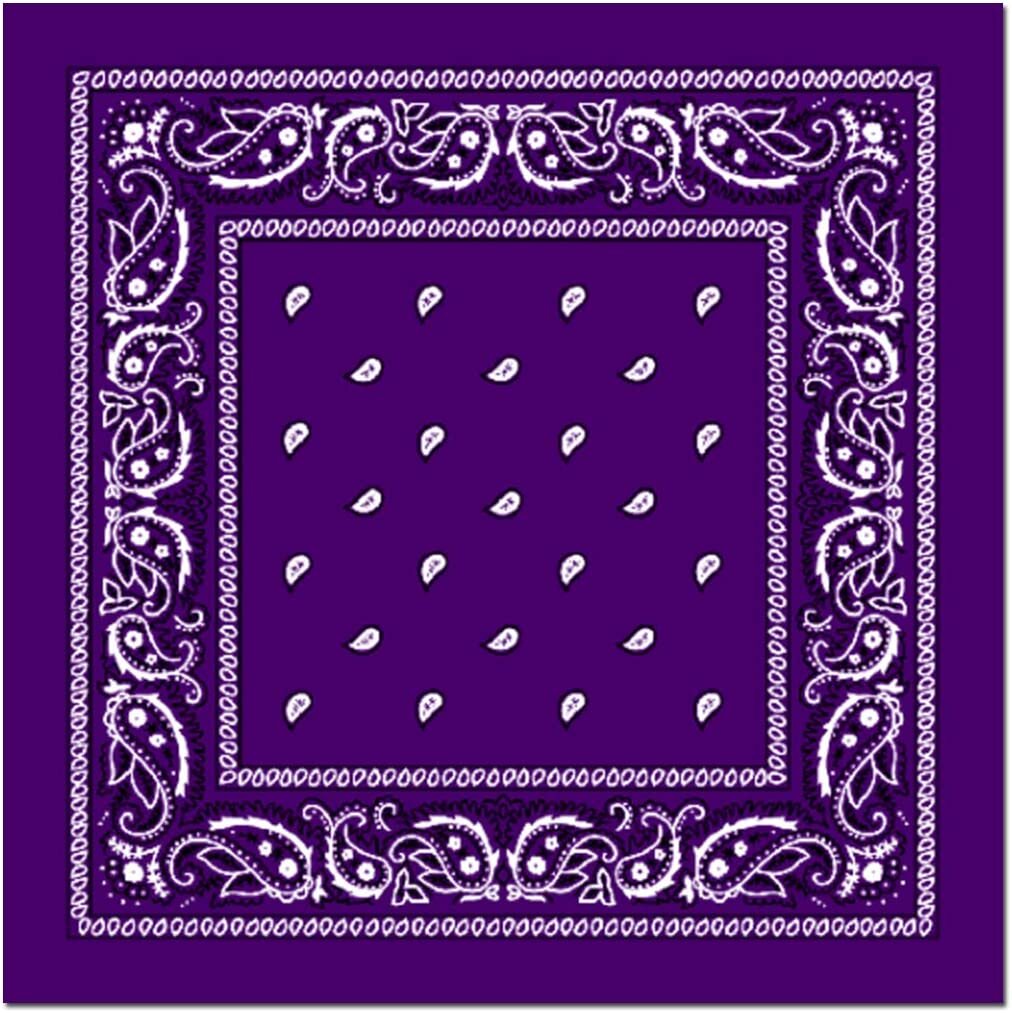 V563-BANDANA-PURPLE-202503051435-00 BANDANA Paisley 100% COTTON Head Wrap Durag Bandanna Summer Biker Scarf Mask - Purple - Image 1