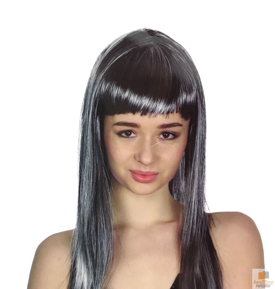 V563-BR-WSLWIG-GRY_22467-184274-00 LONG WIG Straight Party Hair Costume Fringe Cosplay Fancy Dress 70cm Womens - Grey (22467) - Image 1