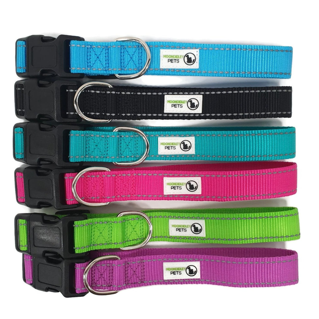V631-MDPCOLREFSBLK-185965-00 Nylon w/Reflective Stitching Dog Collar Small Black - Moondidley Pets - Image 1