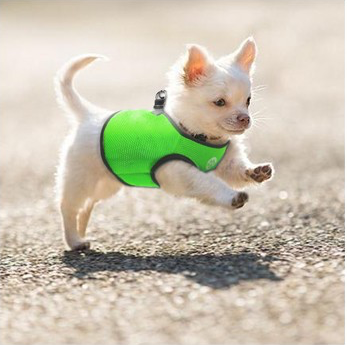 V631-MDPVESTLGRN-186069-00 Vest Harness Pet Dog-Cat Step-in Velcro and Buckle Attachments - Moondidley Pets Large Green - Image 1