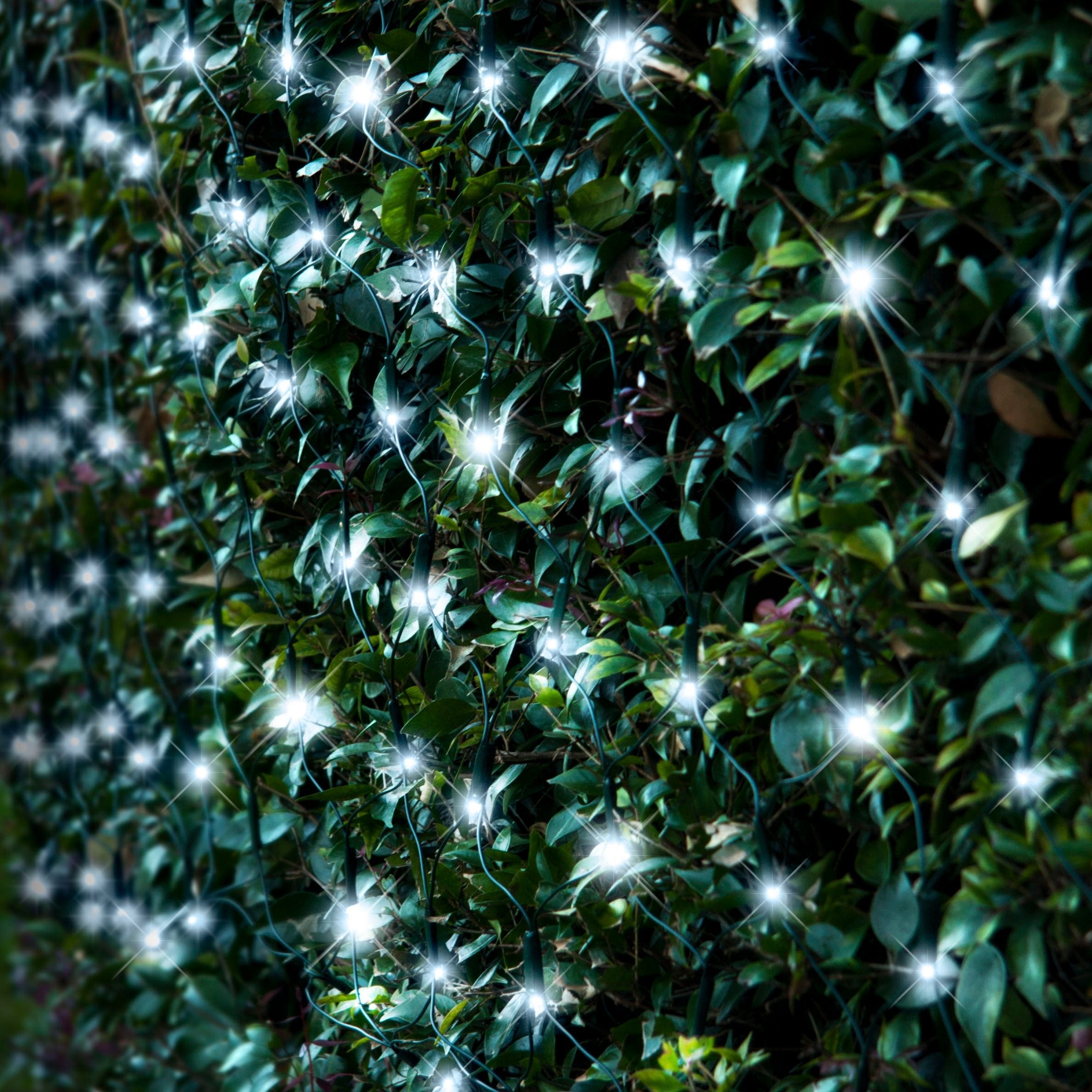 V720-XA7927MC-202138-04 Solar 150 LED Net Light available in 4 Colors - Multicolor - Image 1