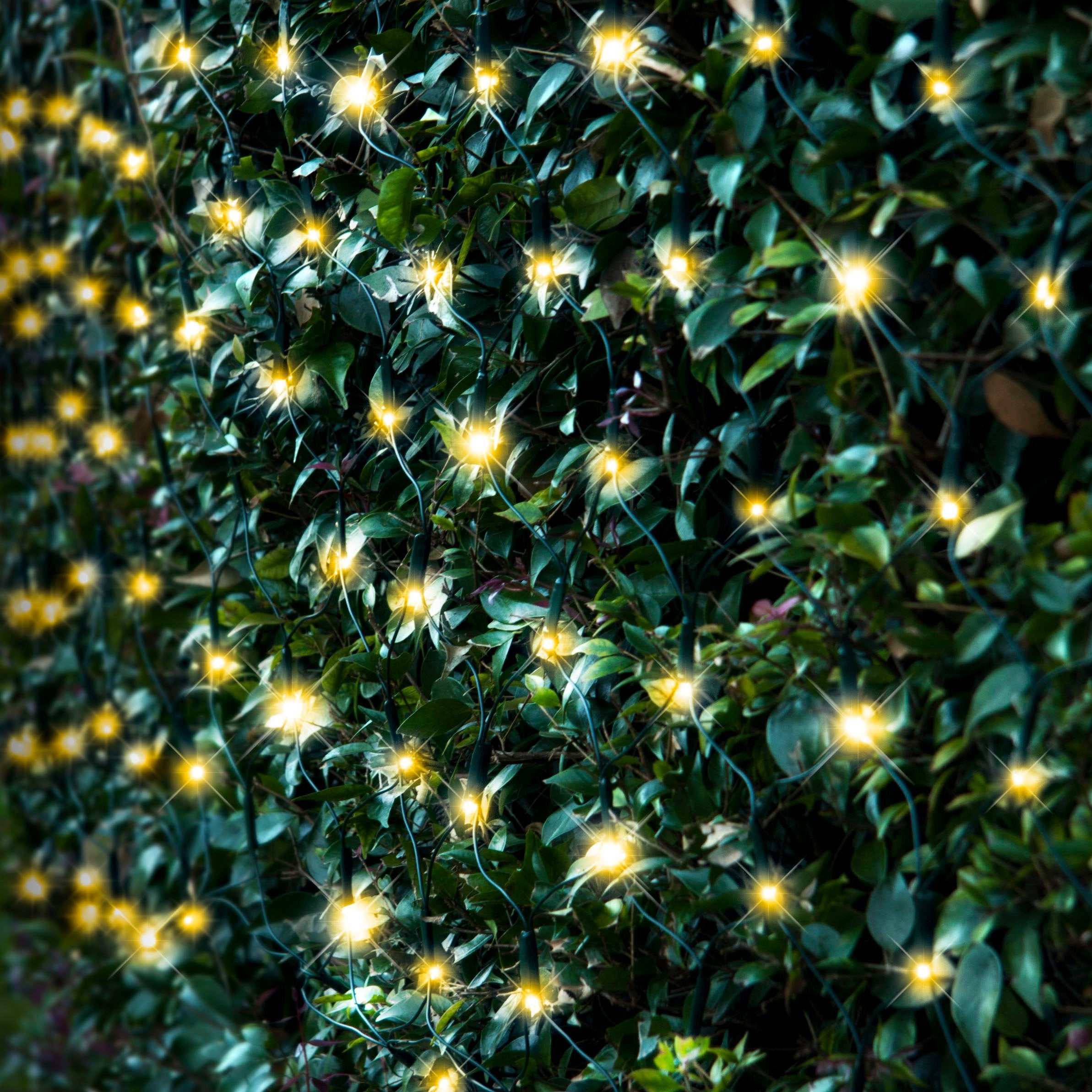 V720-XL1519-COOL-202107-04 Battery Operated 180 LED Net Lights – available in 3 Colors - Cool White - Image 1