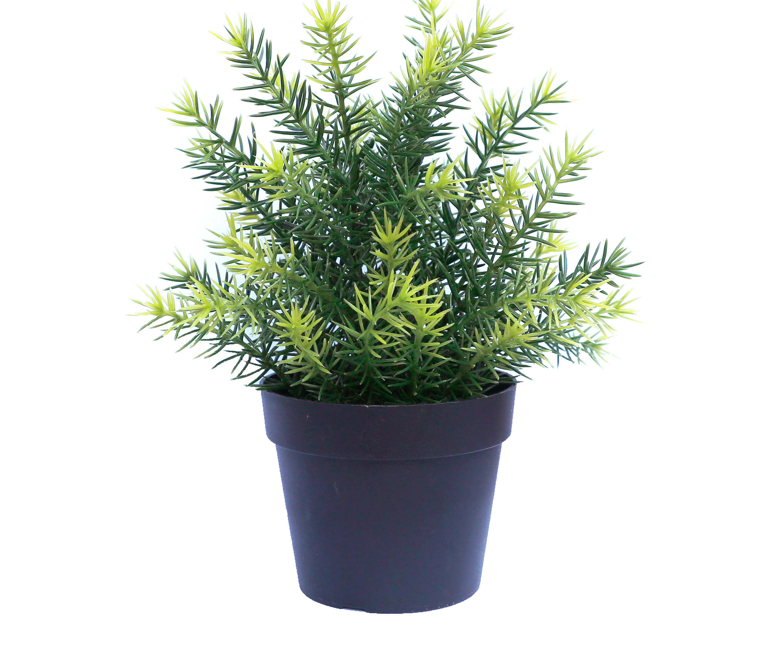 V77-1013097_Small_20Potted_20Artificial_20Native_20Grass_20Plant_20UV_20Resistant_2020cm Small Potted Artificial Native Grass Plant UV Resistant 20cm - Image 1