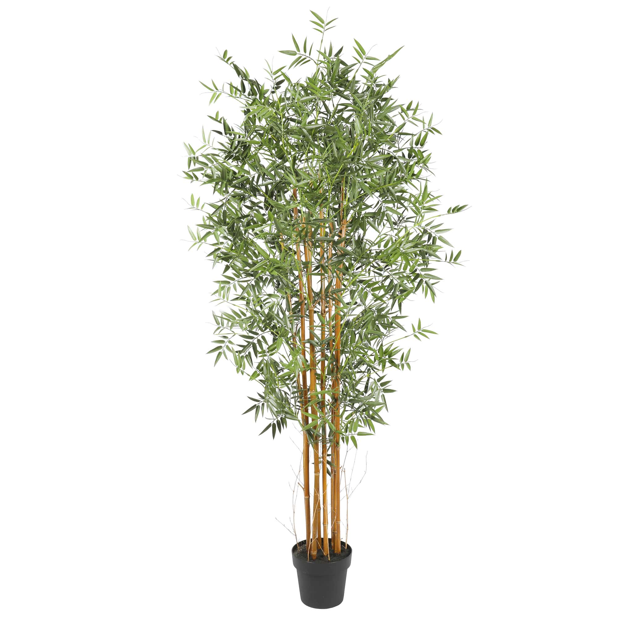 V77-1197668-1197668-min-00 Premium Natural Cane Artificial Bamboo (UV Resistant) 180cm - Image 1