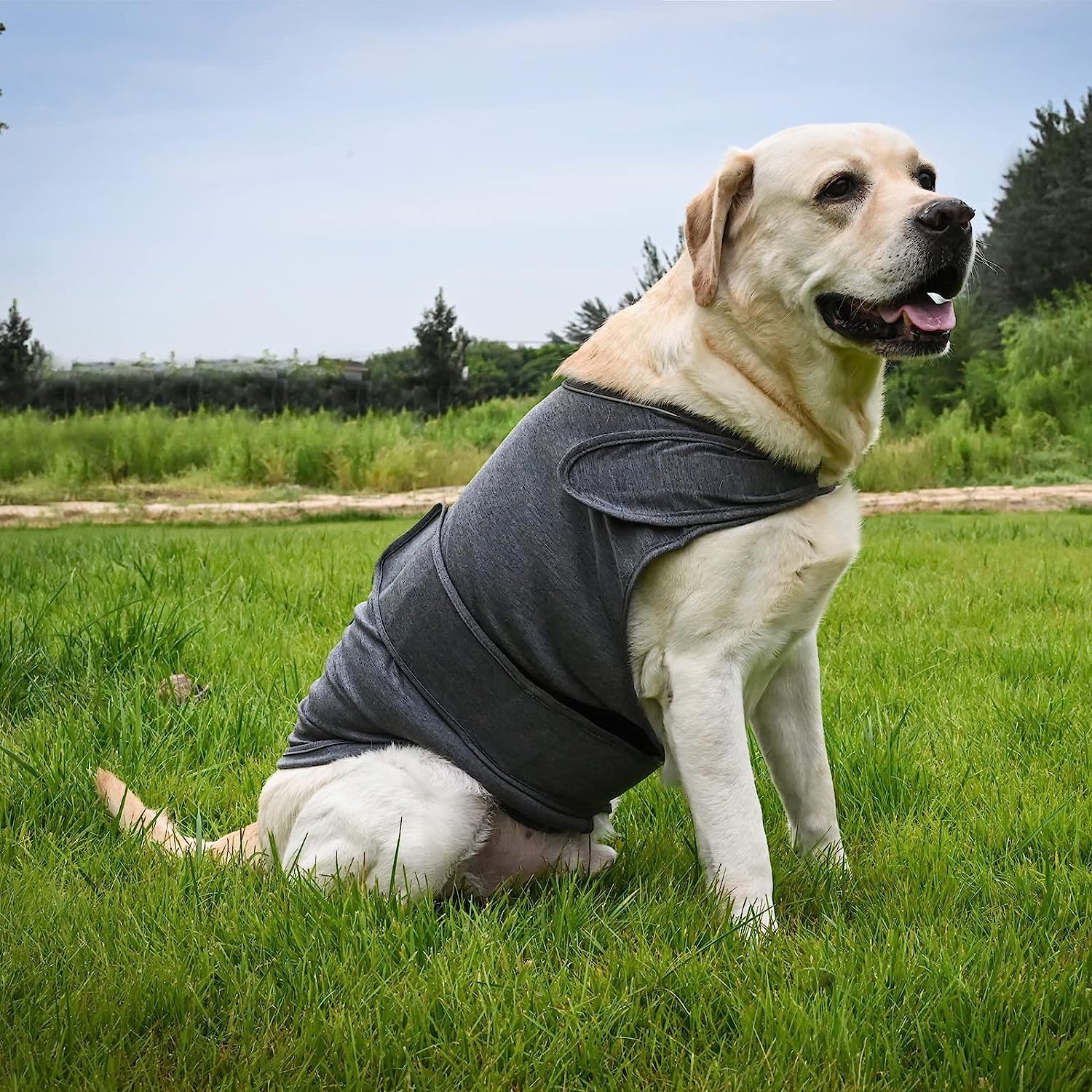 V888-ELOSUNG12145-210433-00 XXXL Dog Vest Jacket - Warm, Soft, and Comfortable Dog Coat for Winter, Calming and Insulating Dog Apparel - Image 1