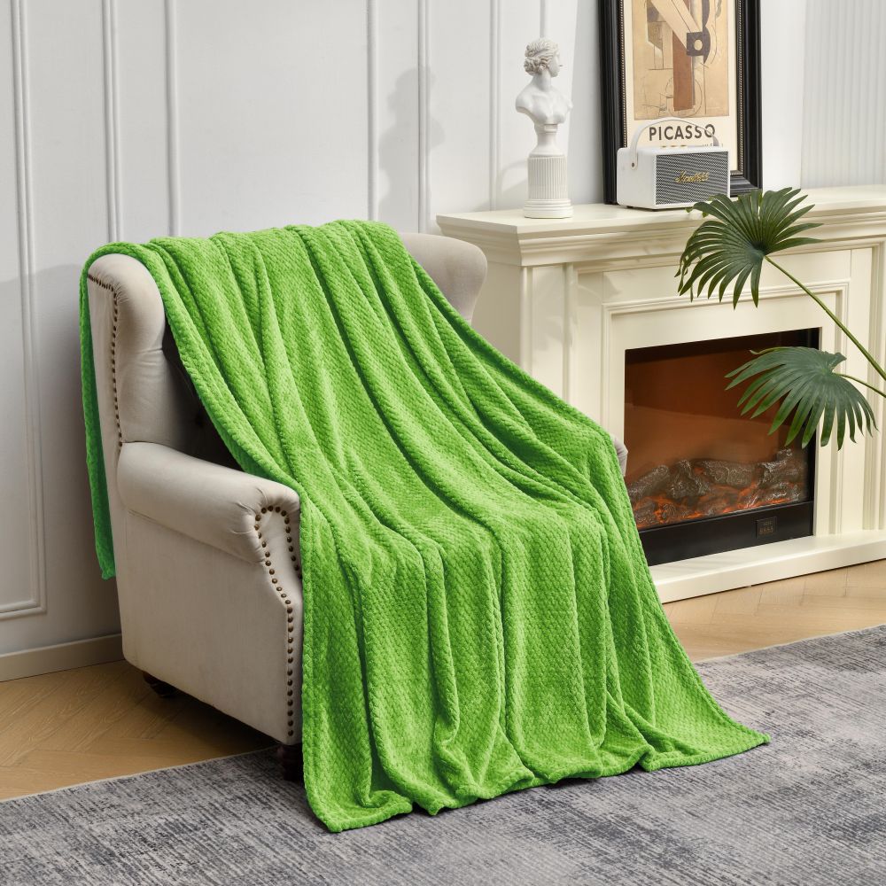 V888-ELOSUNG21100-225781-00 Green Soft Flannel Jacquard Throw Blanket - Cozy Sofa & Bed Cover, Air Conditioning Blanket, 50 x 60 Inches, Elegant Solid Color - Image 1