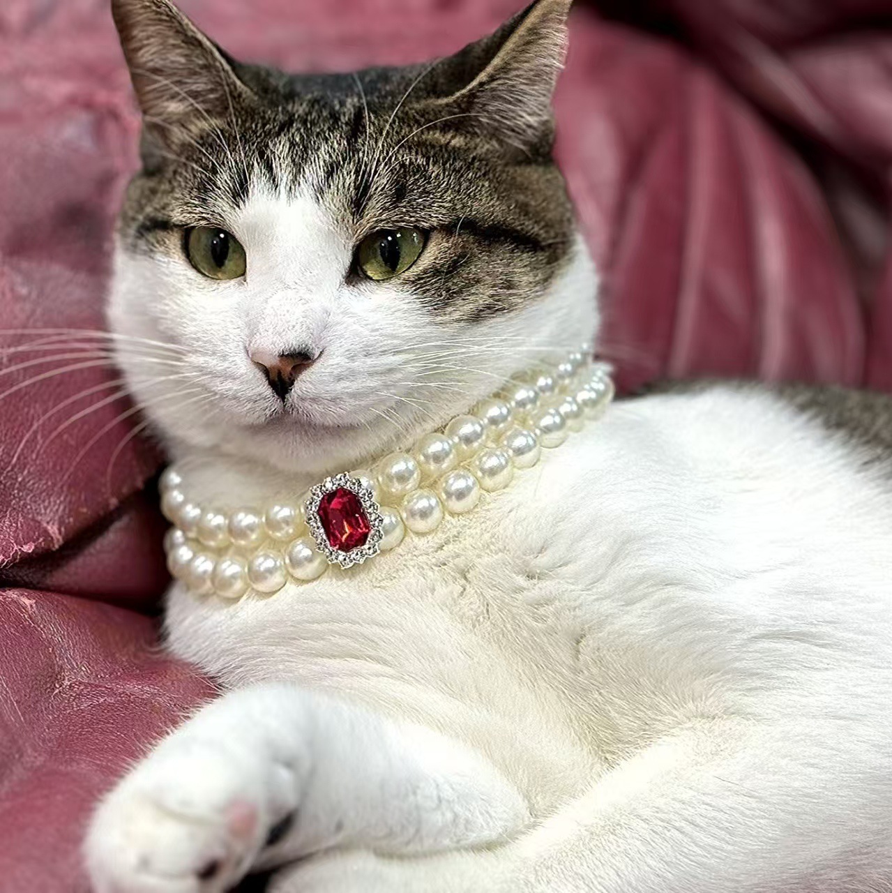 V888-ELOSUNG22529-202503272031-00 3-pcs Red Diamond Double Strand Pearl & Rhinestone Pet Necklace - Luxury Collar for Cats & Dogs Size M (25-31CM) - Image 1