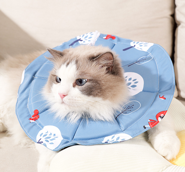 V888-ELOSUNG23810-202504141731-00 2 Pcs Size S Blue Comfortable Pet Recovery Collar | Waterproof Anti-Lick Collar for Cats & Dogs - Image 1