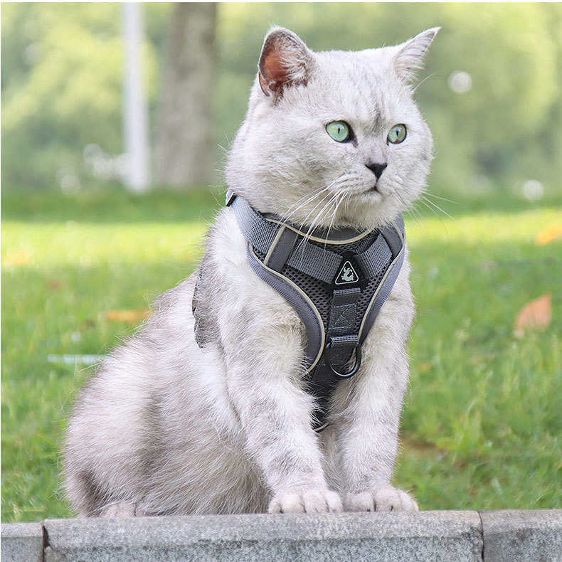 V888-ELOSUNG26082-202504141635-00 Grey Reflective Mesh Dog Harness and Leash Set - Adjustable No-Pull Vest - L - Image 1