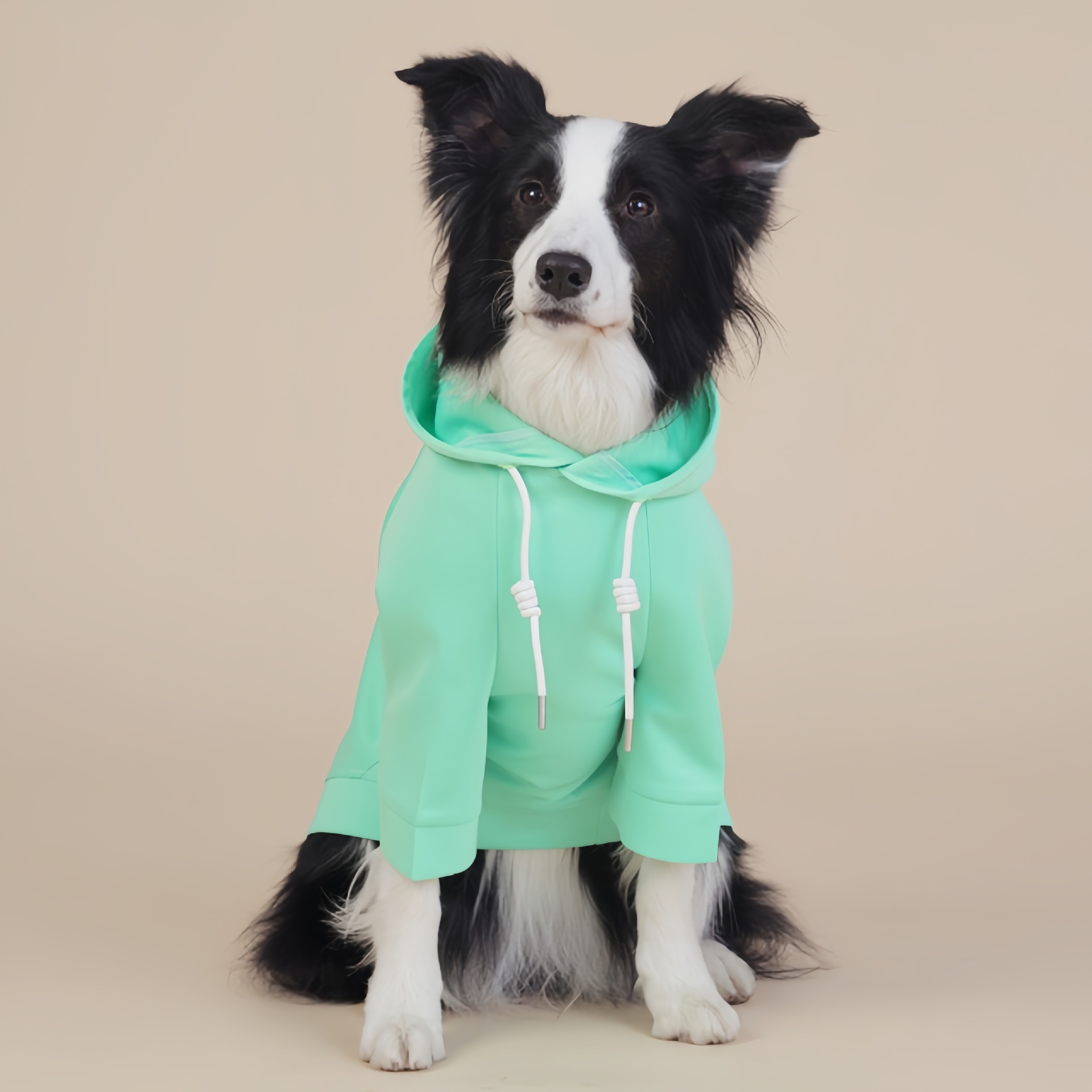 V888-ELOSUNG26786-202505131937-00 Green Classic Dog Sweatshirt with Hood & Drawstrings - For Large Dogs (Size : 2XL) - Image 1