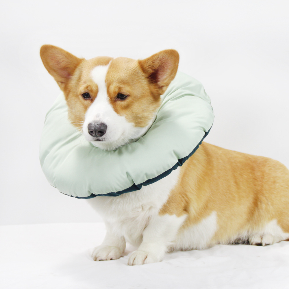 V888-ELOSUNG26973-202505191418-00 Green Adjustable Soft Elizabethan Collar for Pets - Comfortable Recovery Aid - S - Image 1