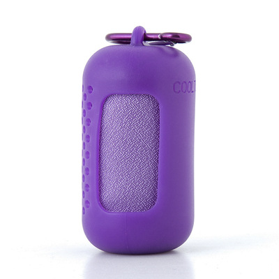 V888-ELOSUNG27071-202504211346-00 Purple Quick Dry Cooling Towel Set (2 Pack) - Microfiber Sport Towels with Silicone Cases & Carabiners - Image 1
