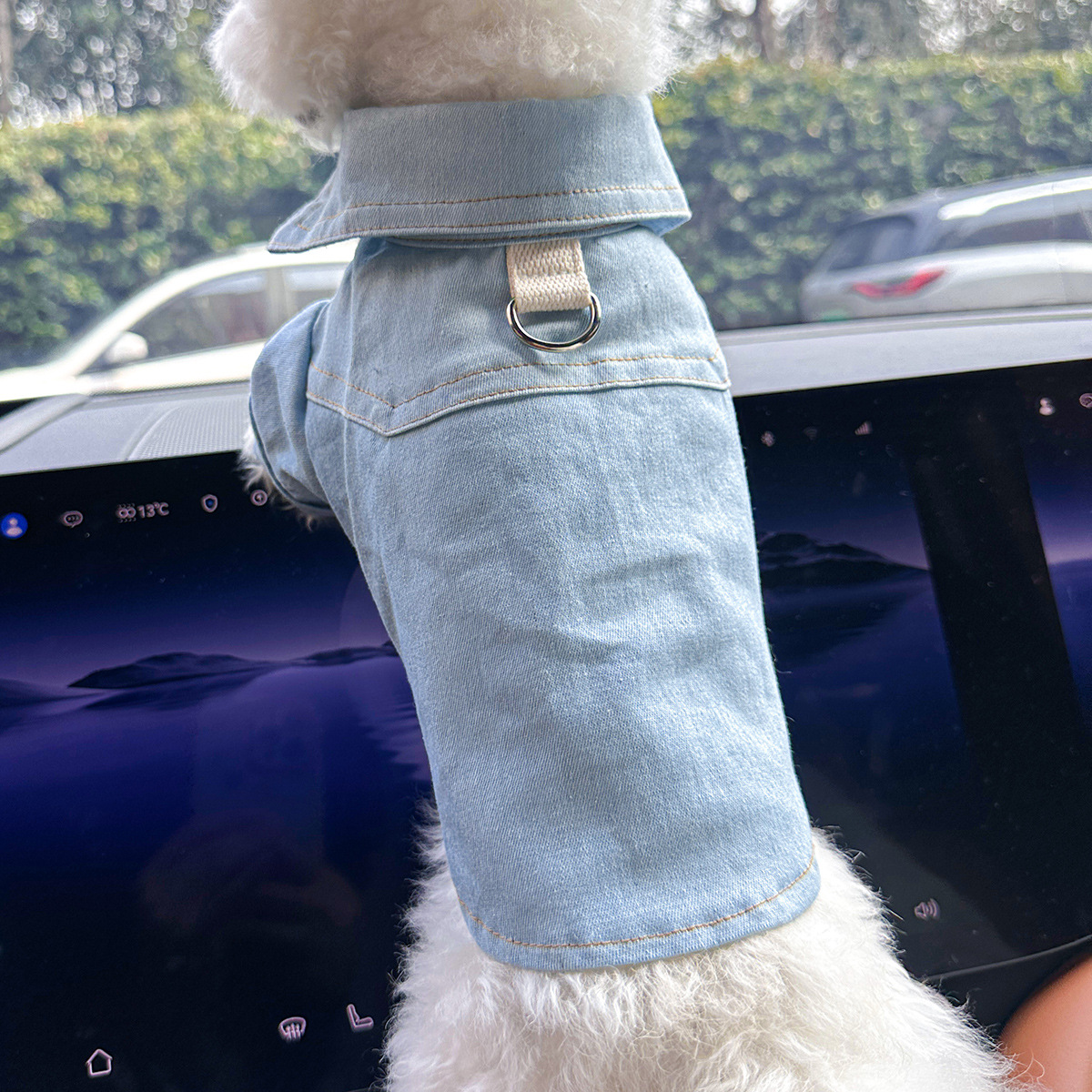 V888-ELOSUNG28707-202505191140-00 XS-Approximately 2kg Handsome denim shirt Denim Vest Jacket for Dogs and Cats - Spring, Summer, and Autumn Wear - Image 1