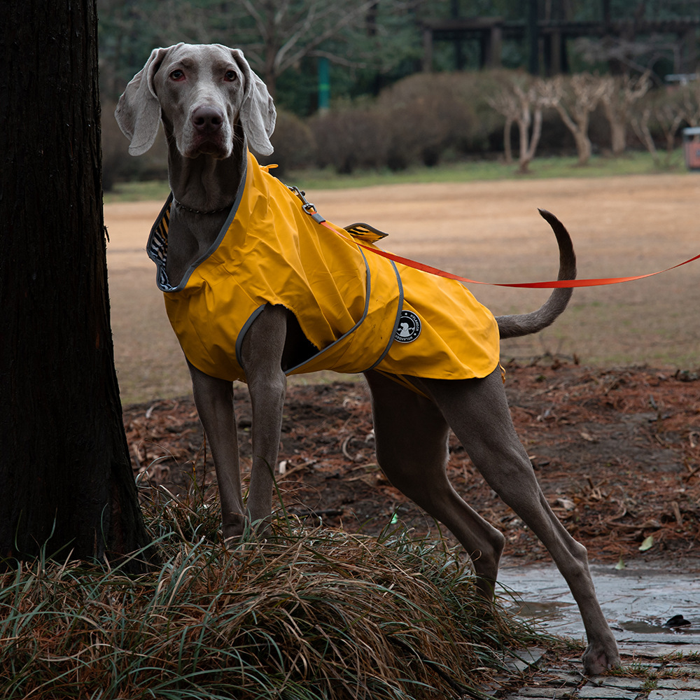 V888-ELOSUNG28735-202505191332-00 50# Yellow Waterproof Reflective Dog Raincoat for Small to Large Dogs - Image 1
