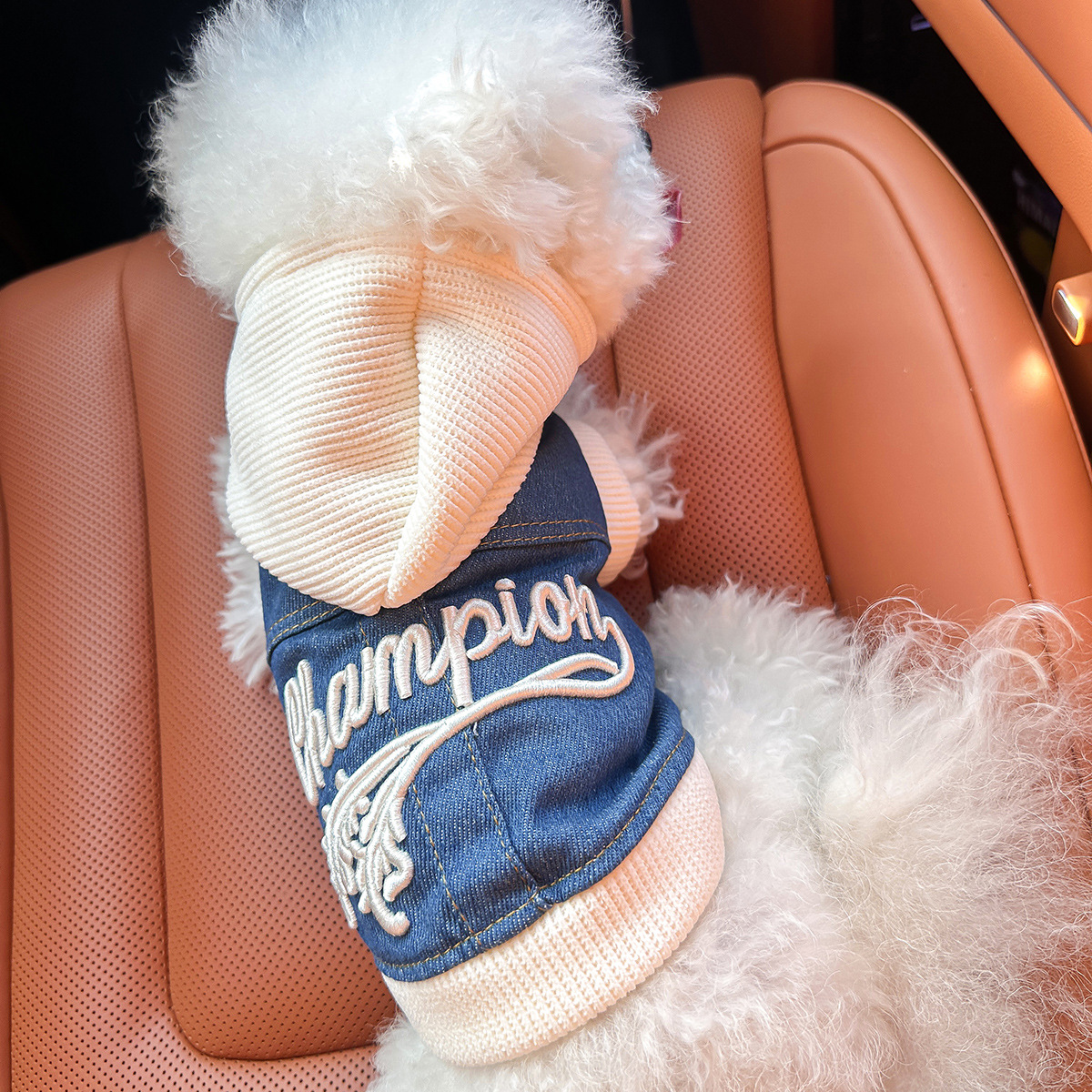 V888-ELOSUNG28741-202505191335-00 S-Approximately 5kg Champion Cowboy Jersey Denim Vest Jacket for Dogs and Cats - Spring, Summer, and Autumn Wear - Image 1