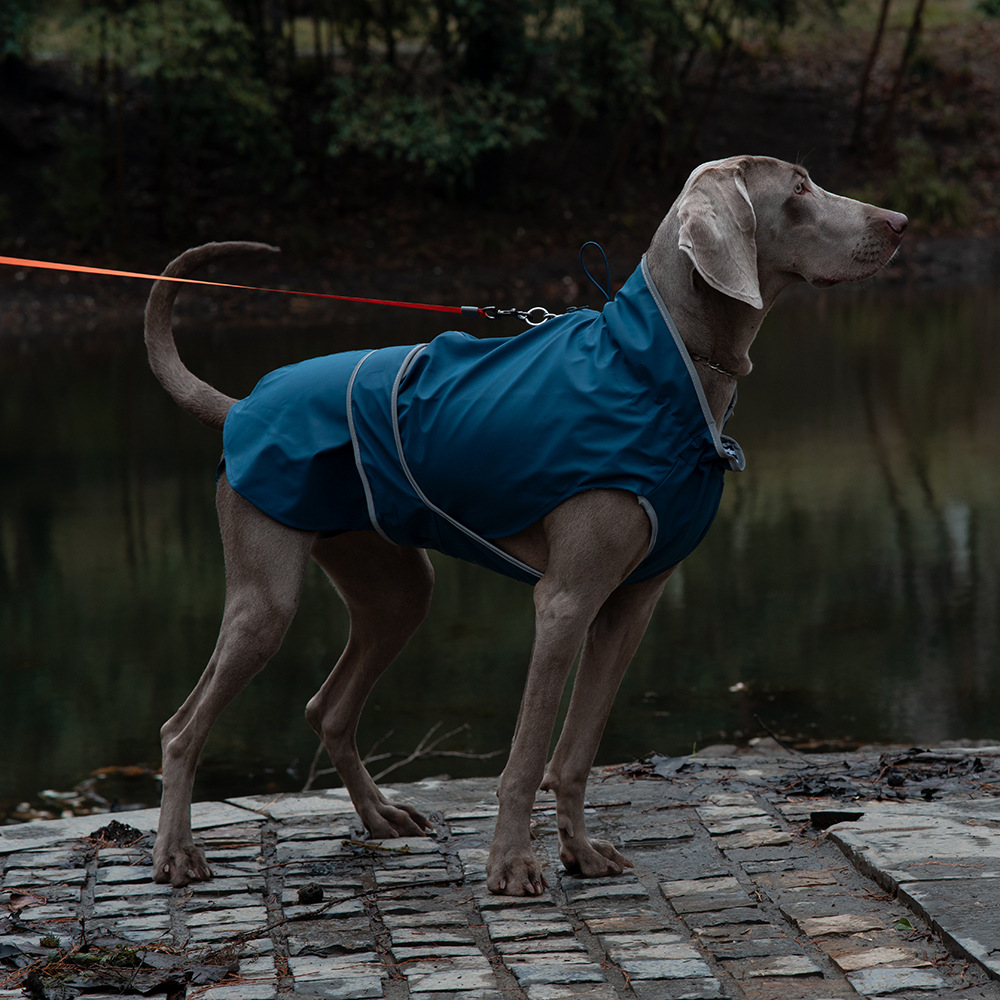 V888-ELOSUNG28746-202505191346-00 55# Blue Waterproof Reflective Dog Raincoat for Small to Large Dogs - Image 1