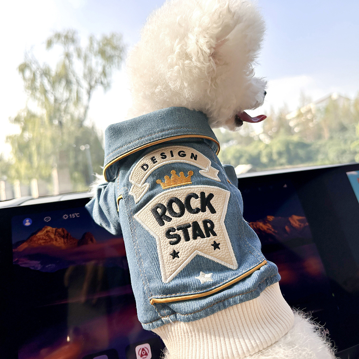 V888-ELOSUNG28796-202505231220-00 XS Around 2kg Rock 'n' Roll Denim Chic Denim Pet Vest - Stylish Jean Jacket for Dogs & Cats - Spring, Summer & Autumn Fashion - Image 1