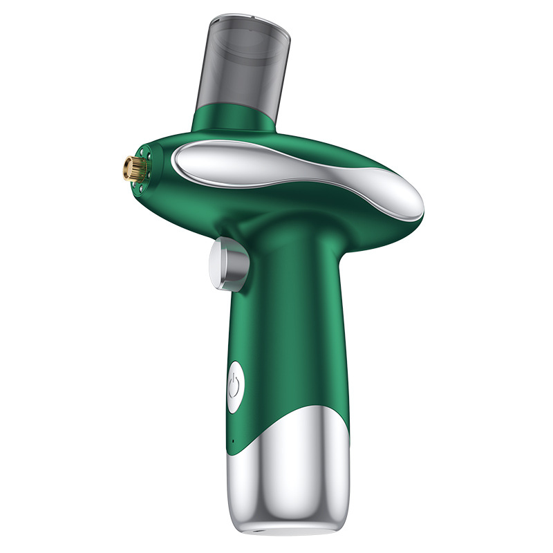 V888-ELOSUNG29208-202505231222-00 Portable Nano Facial Steamer & Oxygen Sprayer with Red/Blue Light Therapy(green) - Image 1