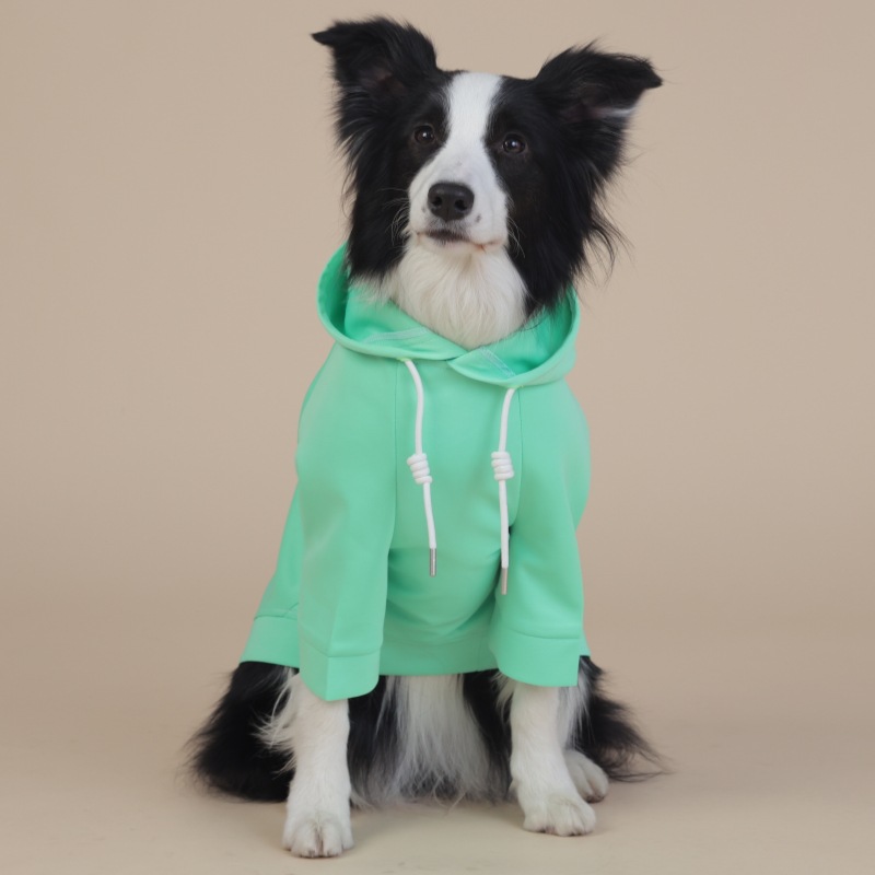 V888-ELOSUNG31159-202505281048-00 Green Classic Dog Sweatshirt with Hood & Drawstrings - For Large Dogs (Size : 6XL) - Image 1