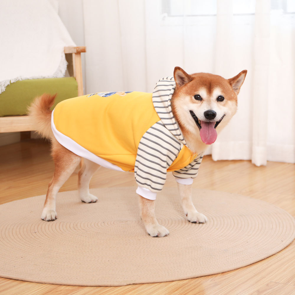 V888-ELOSUNG31166-202505281117-00 Autumn/Winter Dog Clothes - Yellow Hoodie with Striped Hood & Baseball Bear (Size - XL) - Image 1