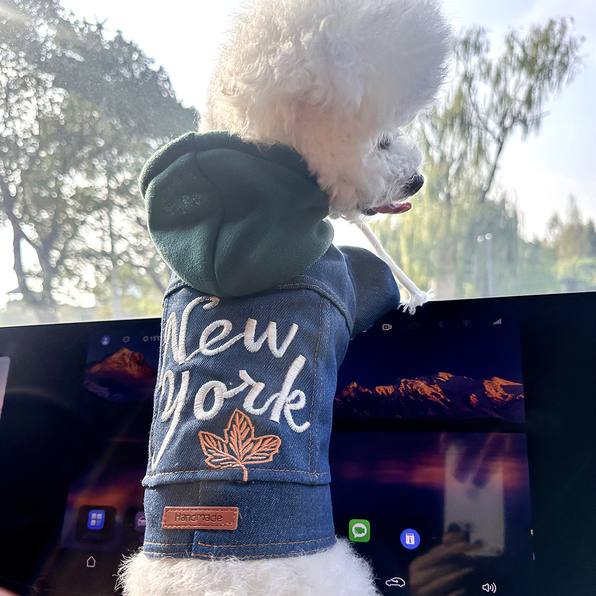 V888-ELOSUNG33108-202505301137-00 XL Around 16kg New York Roll Denim Chic Denim Pet Vest - Stylish Jean Jacket for Dogs & Cats - Spring, Summer & Autumn Fashion - Image 1