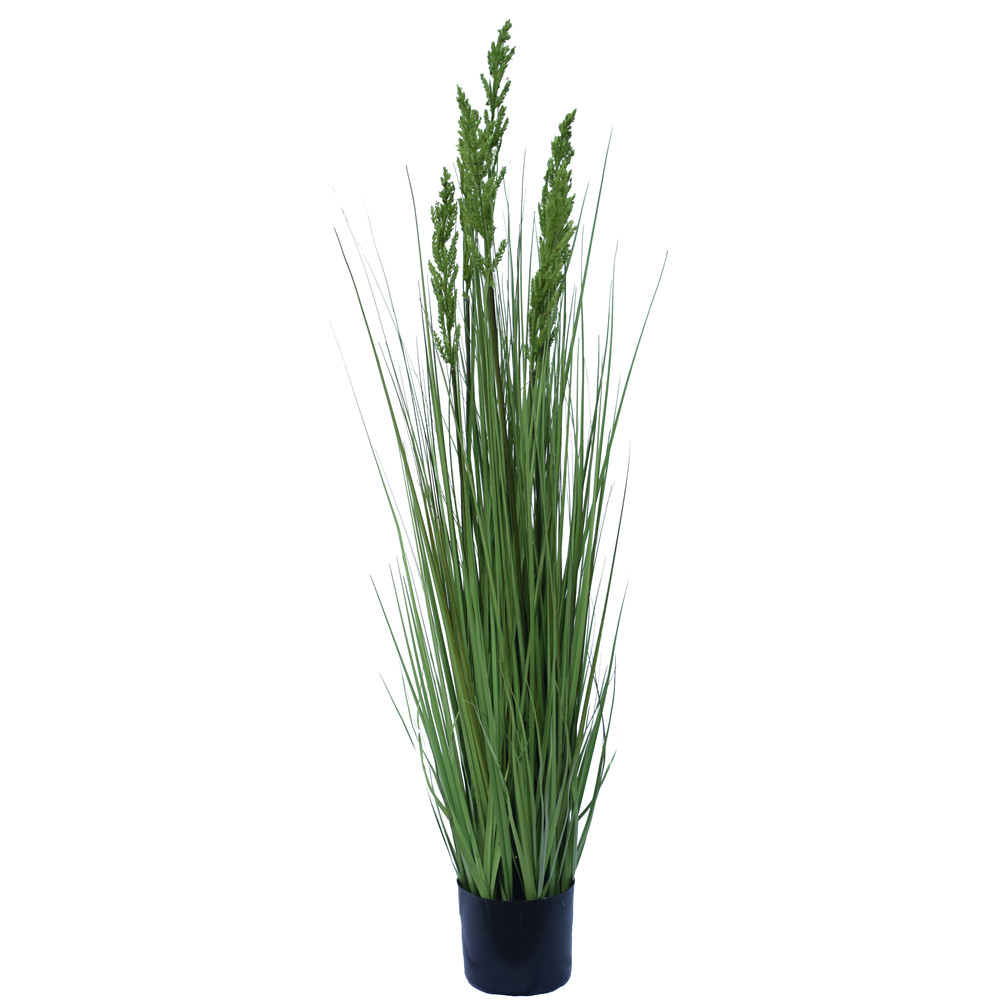 dsc_0161_2_1__8 Flowering Native Grass 120 cm - Image 1