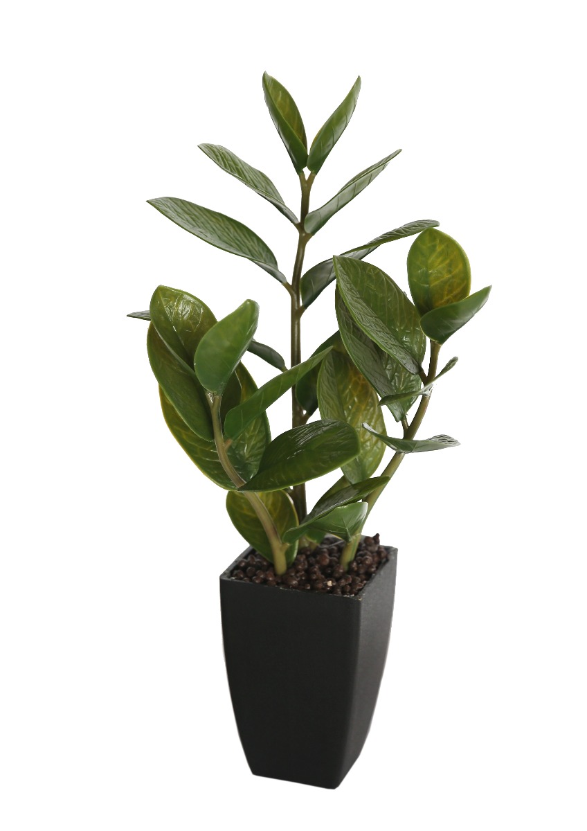 kd9253._1__3 46cm Potted Zanzibar - Image 1