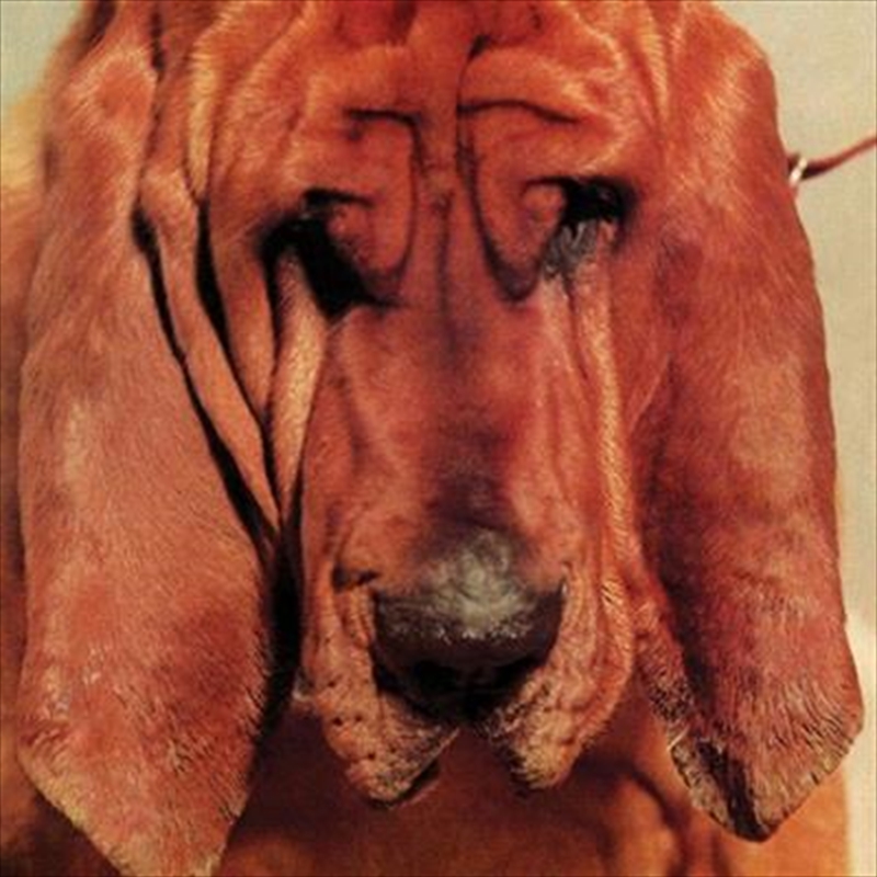 V210-2200502-202507021415-00 Goodbye Bread - Segall, Ty Cd Album - Image 1