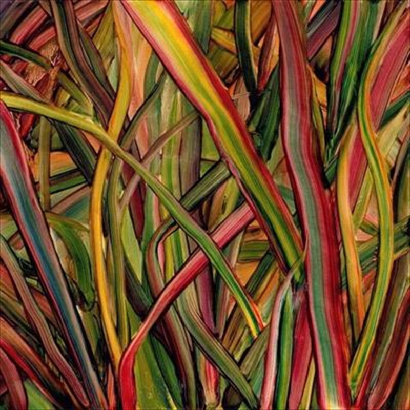 V210-2353836-202507021620-00 Where Wildness Grows - Gengahr Cd Album - Image 1